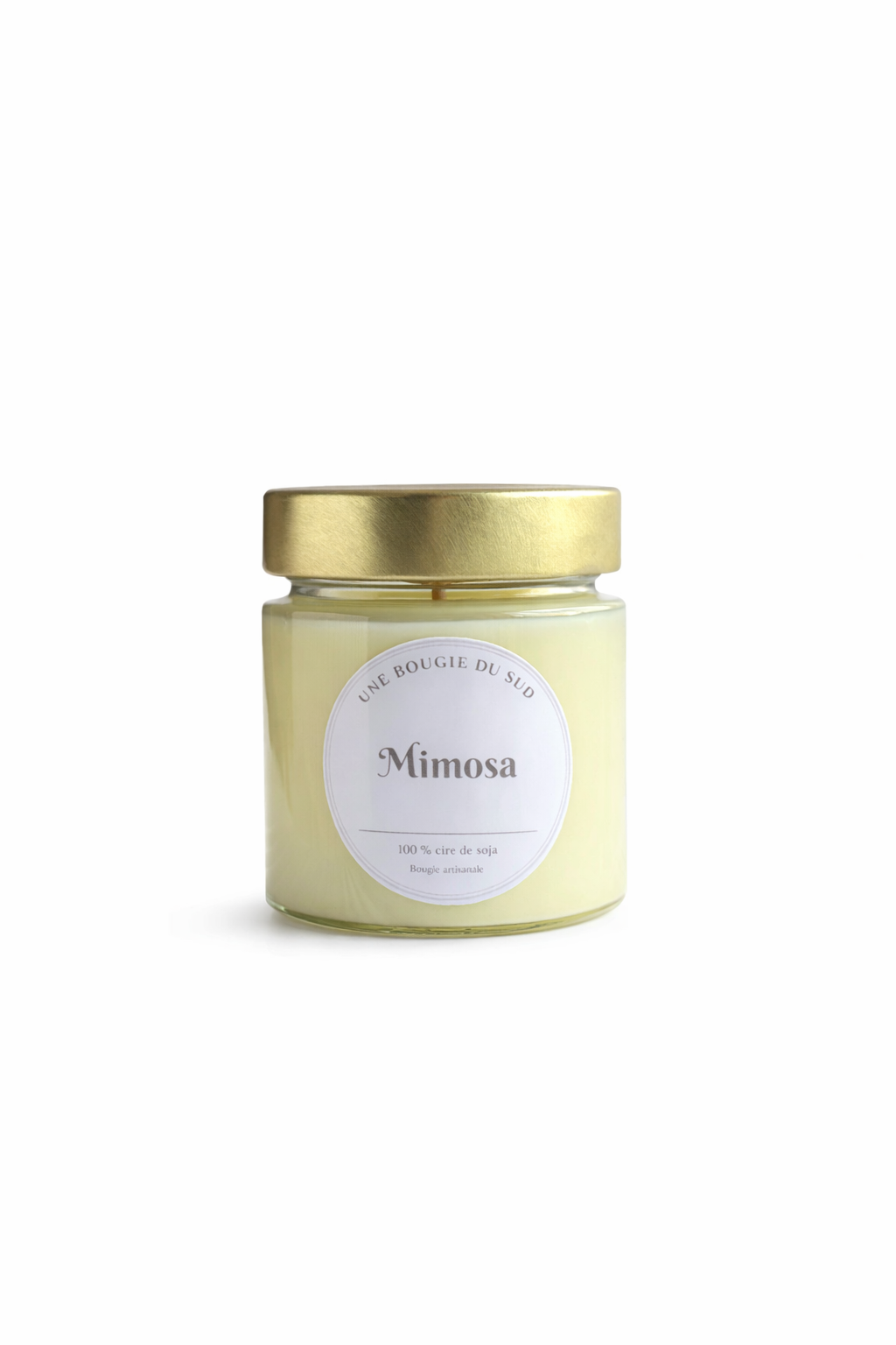 Mimosa